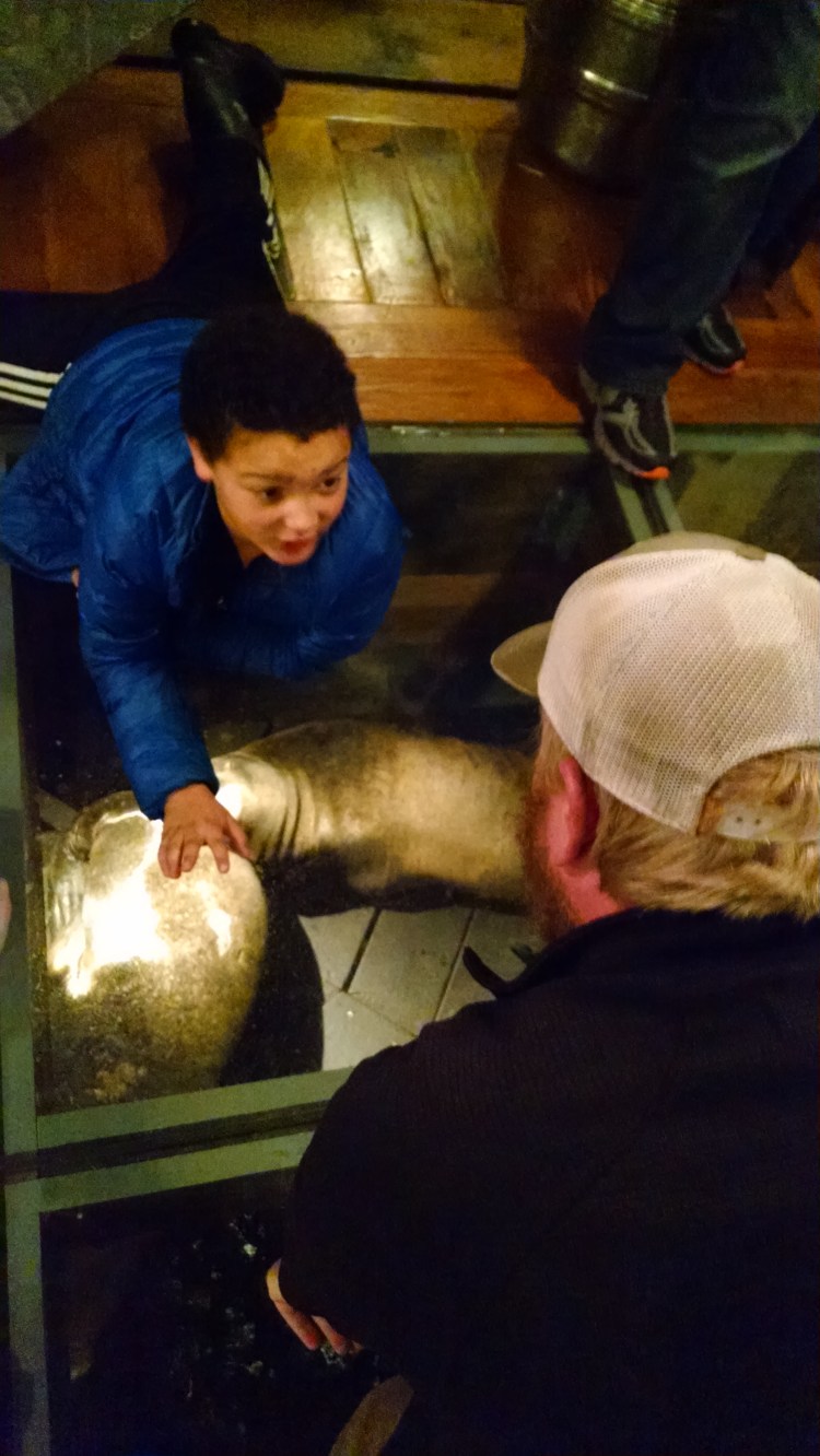 img_20161125_181726763